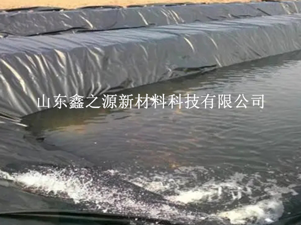 魚(yú)塘防滲膜的選擇需要考慮哪些要求？