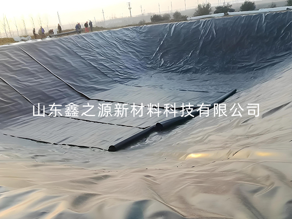 選擇防滲土工膜進行小龍蝦養(yǎng)殖有哪些要點技巧？
